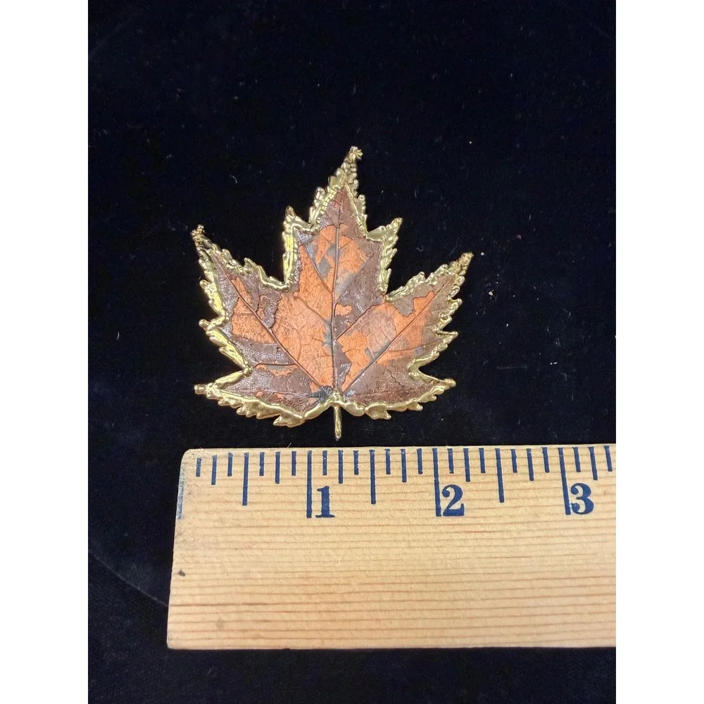 Vintage Real Maple Leaf Dipped in Gold Tone Brooch Pin Nature Jewelry 2.5 Inch